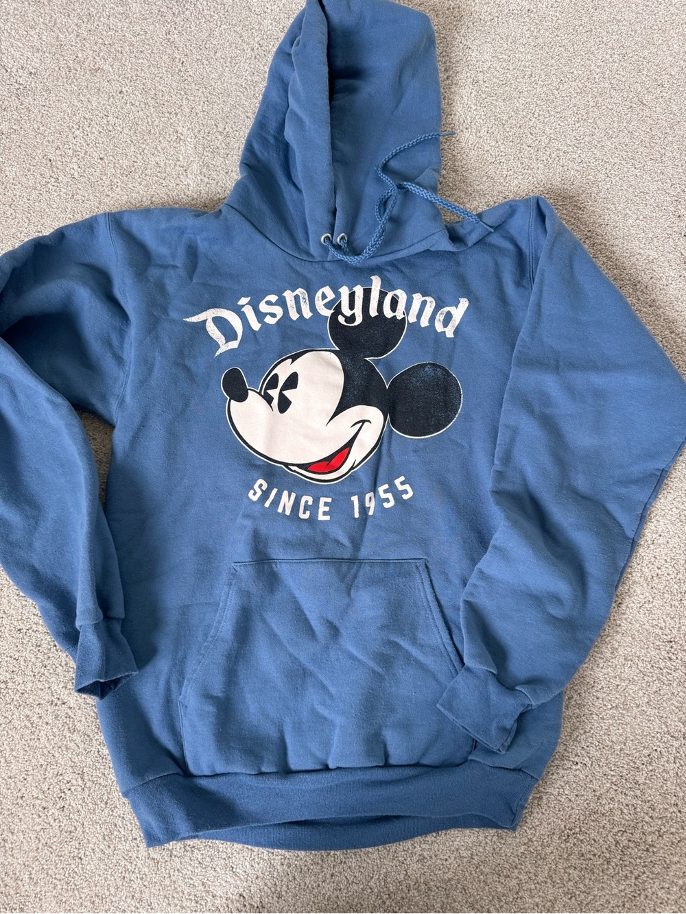 Hanes Disney Walt Disney World Navy Blue Pullover Hoodie - S